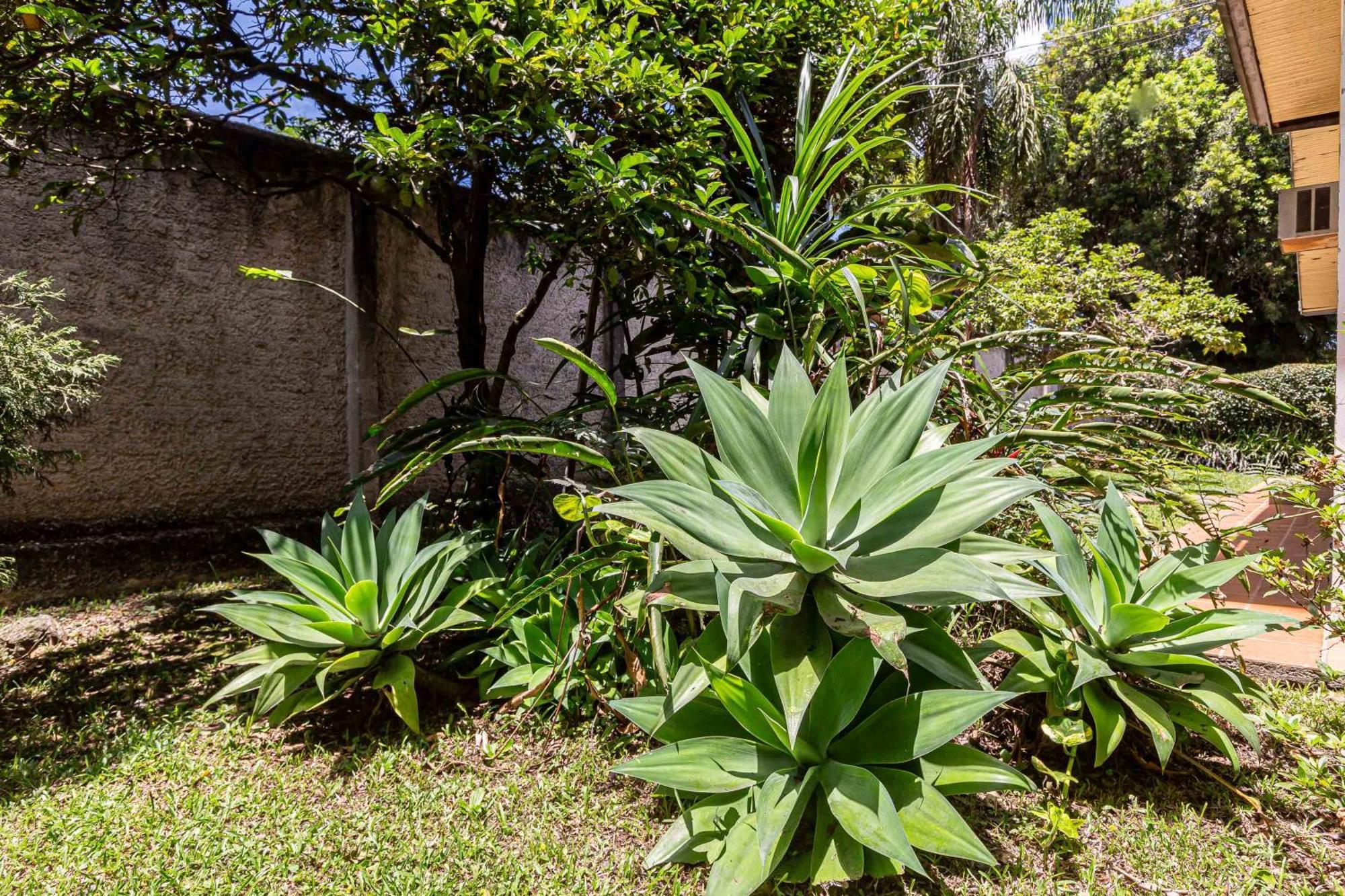 Memora Guesthouse Curitiba - Quartos Em Casa Proximo Ao Parque Bacacheri Екстериор снимка